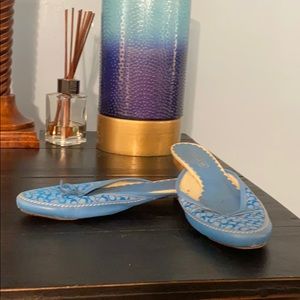 Coach blue slides